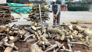 Bakırköy Belediyesi'nden örnek hareket